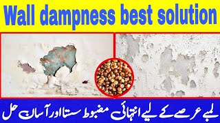 wall seepage solution  wall dampness treatment [upl. by Natie]