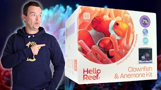 Jump Into Saltwater Aquariums Feet First With HelloReef [upl. by Asiul]