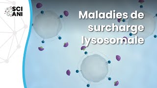 En quoi consistent les maladies de surcharge lysosomales [upl. by Elo326]