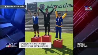 Talento en Acción  Galgos Destacan en Competencias de Atletismo [upl. by Hurwit]