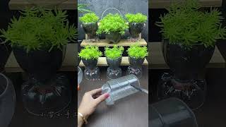 Transformation of laundry soap bottles transformation of self made flower pots use of waste part 1 [upl. by Allebasi]