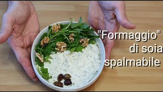 Formaggio spalmabile vegano con yogurt di soia e olive [upl. by Azitram]