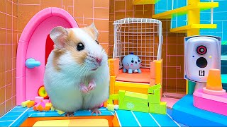 Thrilling Prison Break of a Tiny Hamster Through the Toilet Network 🐹 Maze for Hamster [upl. by Nhguavahs]