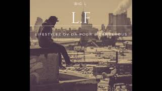 Big L  Lifestylez Ov Da Poor amp Dangerous LF Remix Killaz Theme 2023 [upl. by Gwenni]