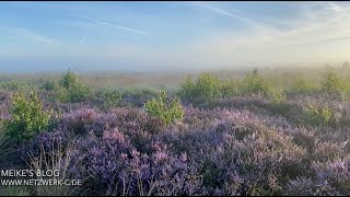 Anbetungspaziergang 1 ohne Musik [upl. by Leyes175]