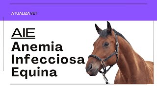 Anemia Infecciosa Equina AIE  AtualizaVet [upl. by Dulce248]