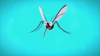 Part 8  Vector controlBiology of Anopheles maculatus Mosquitoes [upl. by Hayman]