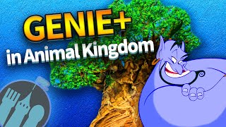 How to Use Genie in Animal Kingdom [upl. by Krystle]