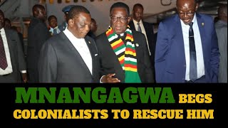 Mnangagwa BEGS Colonialists to RESCUE His Government  Chamisa  Chiwenga [upl. by Honorine]