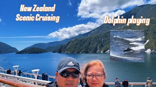 New Zealand episode1 part2Fiordland National Park Scenic Cruisinghawaii Caribbean beachviral [upl. by Nana599]