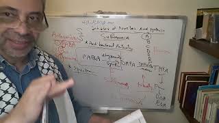 Module 310  Lecture 35 part 3 Sulfonamides cont amp Cotrimoxazole [upl. by Riane470]