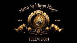 Amblin TelevisionImageMoversMGM TelevisionWarner Bros Television 2023 [upl. by Ackley]