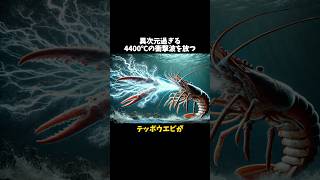 必殺技があるテッポウエビの雑学 テッポウエビ 生物 雑学 動物雑学 [upl. by Nohsar]