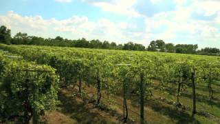 Haak Vineyards amp Winery Texas Commercial 3 minutes 2012 [upl. by Hayikaz105]