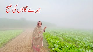 Meray Goan Ki Subah Mud House Life Pakistan [upl. by Kcirednek]