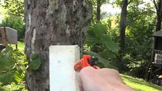 Very Powerful Flare Gun [upl. by Cyb]