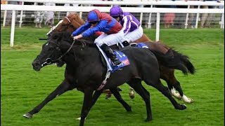 LOS ANGELES wins 2024 Sky Bet Great Voltigeur Stakes G2 [upl. by Mychael604]