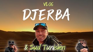 Djerba et ses alentours MES 10 BONS PLANS🌞🐫 [upl. by Hymen878]