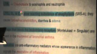 22 Dr Rasheed 28 12 2014 Eicosanoids  Lipid Transport in the Blood [upl. by Atnahsal]