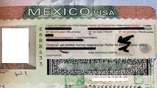 Mexico visa 2023  This is How to apply [upl. by Eseilenna]