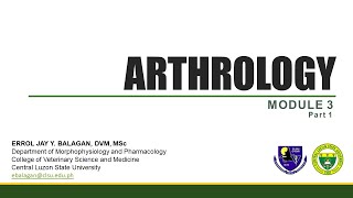 Arthrology Part 1  Joint Classification [upl. by Friederike]