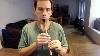 Garry Owen  Tin Whistle [upl. by Eniksre]