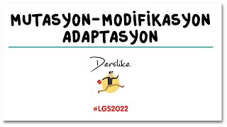 Mutasyon Modifikasyon Adaptasyon  LGS Fen Bilimleri [upl. by Ayotyal]