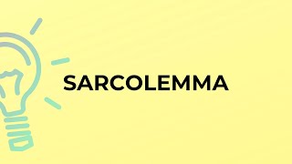 What is the meaning of the word SARCOLEMMA [upl. by Itra]