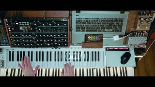 Novation Peak Live Looping  Laser Light [upl. by Rosetta328]