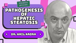 “Pathogenesis of Hepatic Steatosis Insights into Potential Treatment Optionsquot by Prof Anil Arora [upl. by Ecinaej]