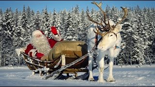 Intervista Babbo Natale e renne 🦌🎅 Lapponia Finlandia Santa Claus Pello Rovaniemi [upl. by Wilkinson]