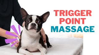 Massage for Dogs  Finding the Trigger Points [upl. by Whyte]