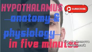 Hypothalamus Anatomy and Physiologyhormones in HindiURDU [upl. by Colwen163]