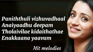 Panithuli song lyrics clean lyrics💖  Raangi Movie  Trisha  hit melodies [upl. by Loutitia551]