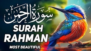 surah al rahman beautiful voice full surah al rahman ep113 [upl. by Sophy]