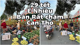 29 tết HOA TẾT CÒN NHIỀU TIÊU THỤ CHẬM HOA TẾT HƯNG PHÚ🌺822024🌺cần thơ ký sự [upl. by Raff174]