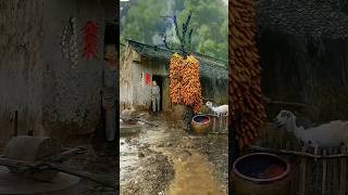 Village rain video youtubeshorts shorts [upl. by Anaiv49]