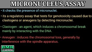 Micronucleus Assay  In Vitro Micronucleus Assay  In Vivo Micronucleus Assay [upl. by Nwaf179]