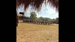 Wangala Festival Traditional music and dance performances  Wangala dance at Chibagre [upl. by Gaspard]