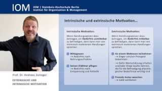 Prof Dr Andreas Aulinger Intrinsische und extrinsische Motivation  Einsichten [upl. by Ioj899]