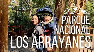 Parque Nacional Los Arrayanes [upl. by Ratha802]