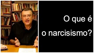 O que é narcisismo  Christian Dunker  Falando nIsso 29 [upl. by Rafaello373]