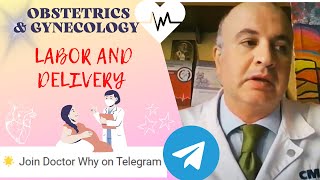 Labor and Delivery How to Answer Exam Questions [upl. by Fernyak]