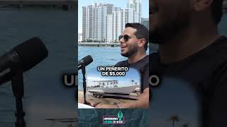 ¿Cómo nació arpiclife venezuela miami emprendedores [upl. by Shanna]