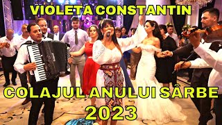 🔴 LIVE ‼️ CEL MAI NOU COLAJ 2023 👉 VIOLETA CONSTANTIN 🔥 MUZICA DE PETRECERE [upl. by Airrej295]