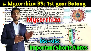 What is Mycorrhiza  BSc first year Botany 1st Semester  Types of mycorrhiza  mycorrhiza notes [upl. by Thurlough]