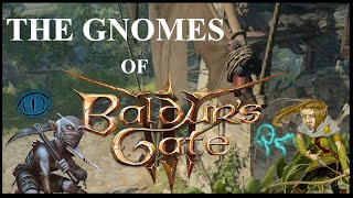 The Gnomes of Baldurs Gate 3 [upl. by Eillak851]