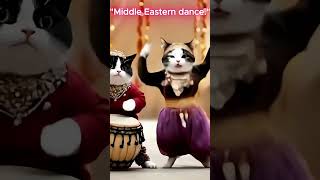 A Middle Eastern Dance Performance cat smartcat [upl. by Faxon]