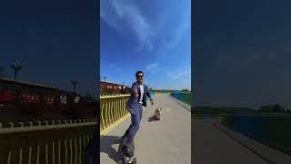 The owner filmed his dog skateboarding and the perspective was amazing skateboarding dog [upl. by Elyse410]