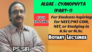 Algae Cyanophyta Part1  NEET PMT CSIR NET BSc MSc  PS Sir  Botany [upl. by Amedeo]